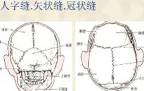 南宫游戏官网-?尫?人 